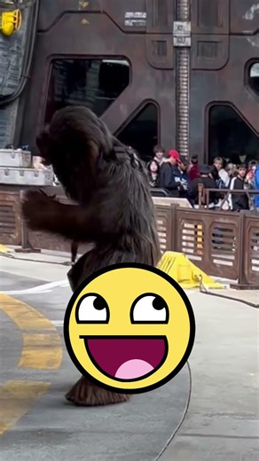 Wait What was Chewie doing???