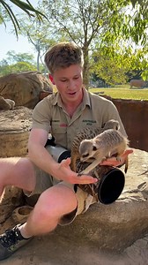 118K views · 9.7K reactions | Australia Zoo’s Crikey! Magazine...