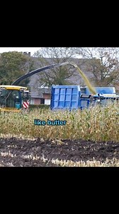 15K views · 311 reactions | New holland harvester threshing corn silage in sunny field  | Powerful farming machine in action, transforming the future of agriculture! | Big Machines | Facebook
