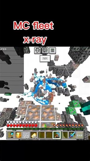 minecraft MC fleet server hacking x-ray working