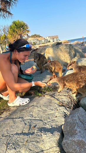 anna archer on Instagram: "this trend 🥹 3 years difference 🫶🏻 from checking what my body looked like in every reflection to dancing like no one is watching 🥺 i want people to remember that body image issues have little to do with how you look like and a lot to do with how you see yourself. you don’t need to be in a certain body to start the journey of being more confident in it ⭐️ it’s so so so hard because we have this idea in our heads that once you reach your ‘dream body’ you will feel en
