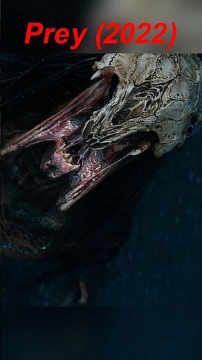Prey (2022) | Predator Captured in Trap—Breaks Free, Then Detonates 🔥🛡️