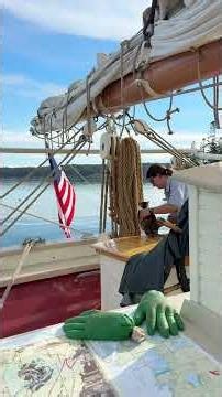 How did a cat get onto this small #MaineWindjammer cruise ship?