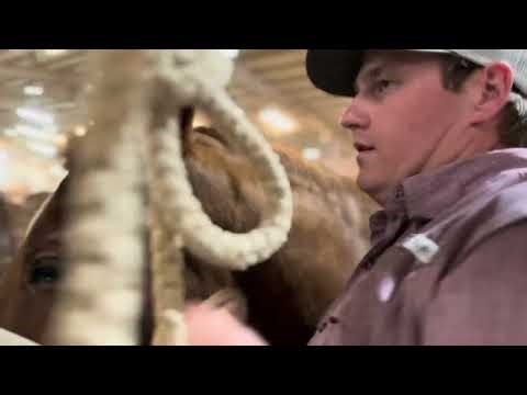 Team roping at Texas tech jackpot 2025