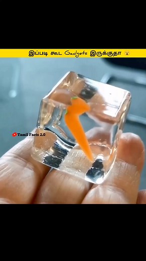 605K views · 10K reactions |  இப்படி கூட Gadgets இருக்குதா 勞 | Tamil Facts| #gadgets #amazingthings #interestingfacts #usefulthings #thingsfacts | Tamil Facts 2.0 | Facebook