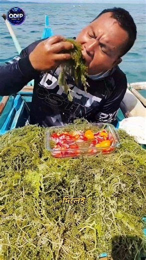 This “Seaweed” Explodes in Your Mouth! 🌊🤯