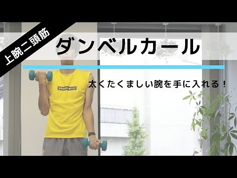 Train your biceps and get toned arms! The correct way to do "dumbbell curls" [10 repetitions x 3 ...