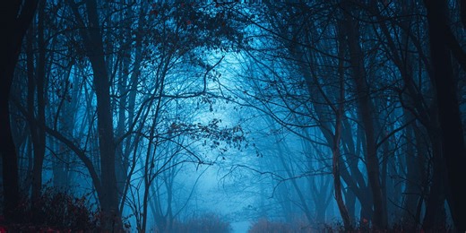 Weird ghost wolf caught on trail-cam (video)