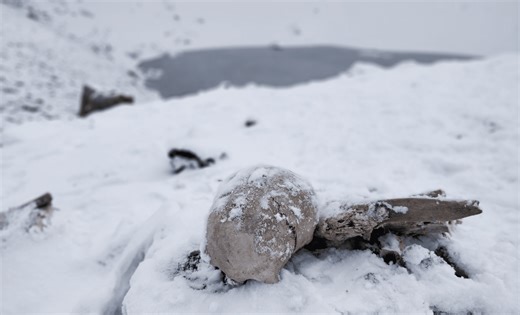 Oldest Human Remains Found in Antarctica: A Discovery That Defies Explanation