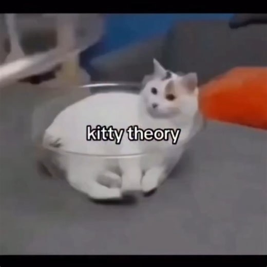 Petos on Instagram: "The United States has started an innovative project that turns something ordinary — walking your dog — into a source of renewable power. In 2025, the city of Austin, Texas became the first in the country to install PawPrint Power Paths, special walkways that generate electricity from footsteps and paw pressure. The idea is simple but brilliant. Each tile under the pavement is made with piezoelectric material, which means it can convert movement into energy. When a person or 