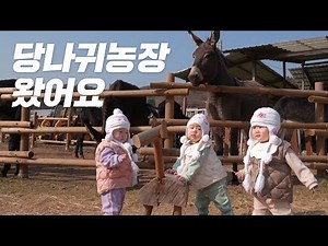 Samdungi Donkey Farm Experience💕