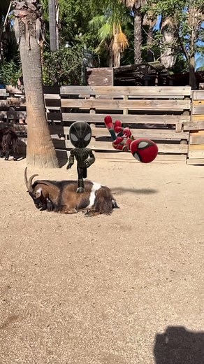 Spidey Verses on TikTok