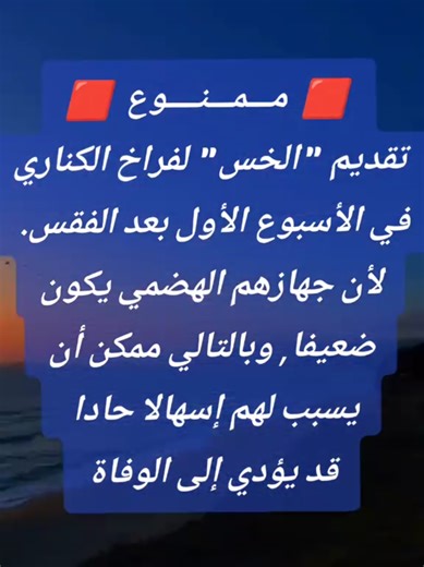 تربية الكناري #viral #fyp #Canary #bird .صغار الكناري