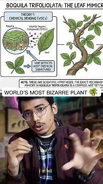 World's most bizarre plant