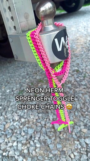 Neon Herm Sprenger Toggle Choke Chain Collars - A Stylish and Effective Dog Training Tool