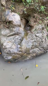 VA Gold Prospecting #goldprospecting # goldnugget #goldpanning #findinggold#or... #Gold #mining #goldpanning how to do gold mining in fs22,gold mining in africa,gold mining in alaska,gold mining in california,gold mining | Ades Gold Hunter