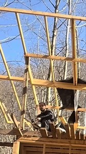 29K views · 283 reactions | Surviving a Collapse_ What You Need to Know #willsurvives #livingoffgrid #cabinlife #foryoupagereels | Will survives | Facebook