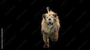 lion Zoo CG fur 3d rendering animal realistic CGI VFX Animation Loop composition 3d mapping cartoon Motion Background, (with Alpha Matte)
