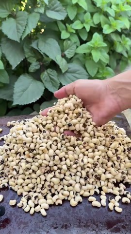 Watch this satisfying ASMR video!