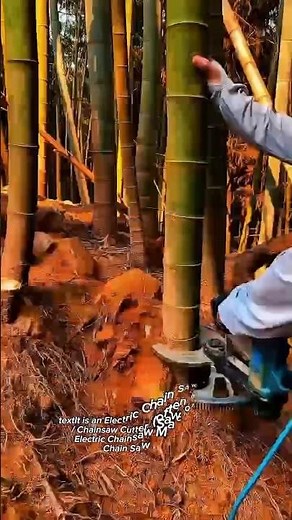 Fast Bamboo Cutting with Electric Chainsaw Attachment | Powerful Corded Chain Saw Tool