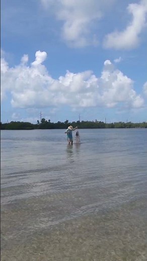 Catching Pinfish with a Cast Net | Florida Keys