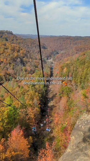 110K views · 2.8K reactions | This is a list of my favorite things to...