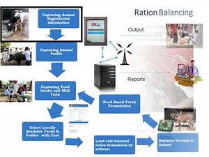 INAPH - Pashu Poshan - English