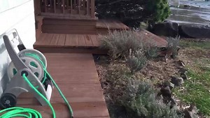 46 reactions | Welcome to Baywatch ☀️ | Oregon Beach Vacations | Facebook