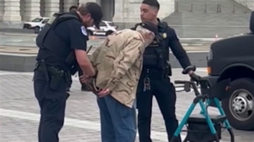 Capitol Police arrest 60 parade protesters, including vet using a walker