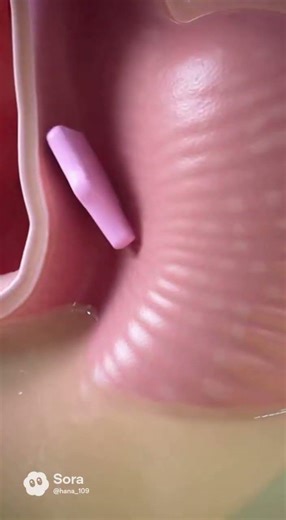 ガムを飲み込むとどうなる？