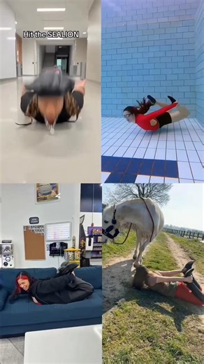 everybody hit it with me,hit the sea lion 🦭 #tiktok #dance #trending