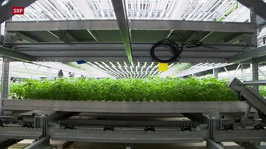 «Die Idee»: Vertical Farming