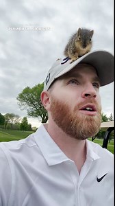 'He's on my head': Squirrel joins golfers for a day on the course