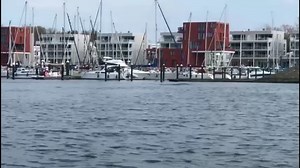 10K views · 211 reactions | WEB.DE News on Reels | Facebook