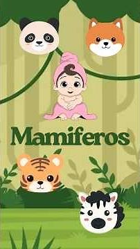 MAMMALS! Who they are and some fun facts about them. 🍼🐶🐾 #littlekoala #childrensvideo #mammals #kids