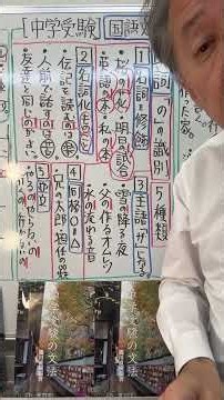 【中学受験】国語文法•助詞「の」の識別