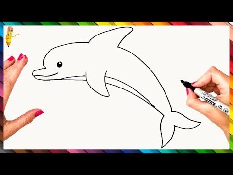 How To Draw A Dolphin Step By StepDolphin Drawing Easy
