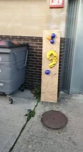 Matt The Fully Trained Ninja 🥋 | The Bald Builders