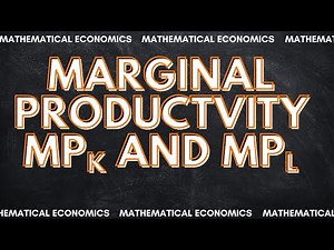 Marginal Productivity | Marginal Product of Labor & Capital | Schaum’s Mathematical Economics