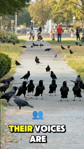 Crow vs Raven What’s the Real Difference?