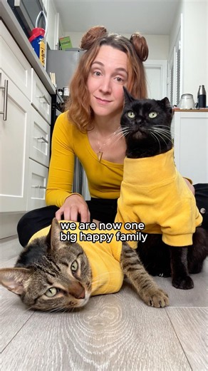 I adopted 2 cats, and now we’re 1 big happy family 😻 #AdoptaShelterCat #catadoption #rescuecats