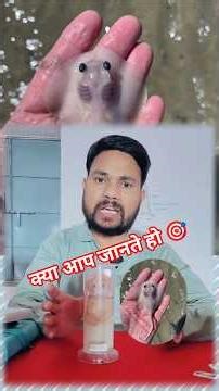 Biology Specimen ll Stingray fish 🐠 ll cartilage fish ll #rpsc #neet #biologybook #science