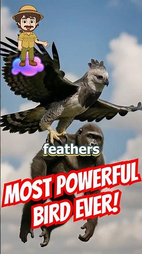 Harpy Eagle: The Monkey Hunting Bird with Giant Talons