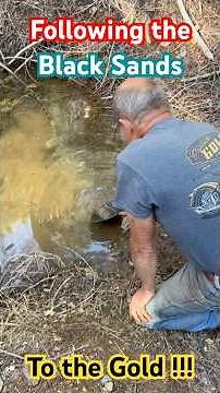 Following the Black Sands to the Gold #goldmining #mining #gold #prospecting #goldprospecting