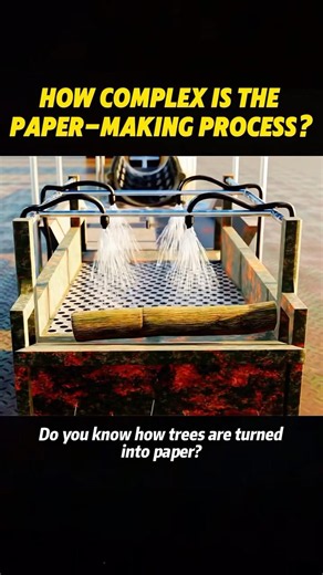 How complex is the paper-making process? #knowledge #science