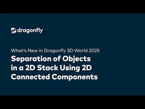 Separate Objects in 2D Stacks with Connected Components in Dragonfly 3D World
