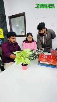 Digital Marketing Skills Training in Hyderabad 2026 | AI, SEO, Google Ads, Meta Ads | Digital Brolly