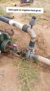 Sprinkler irrigation set up | Farm with Tonny greenhouse and irrigation solutions