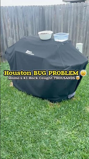 This $3 Trick Got Rid of THOUSANDS of Love Bugs within Minutes ! 😳