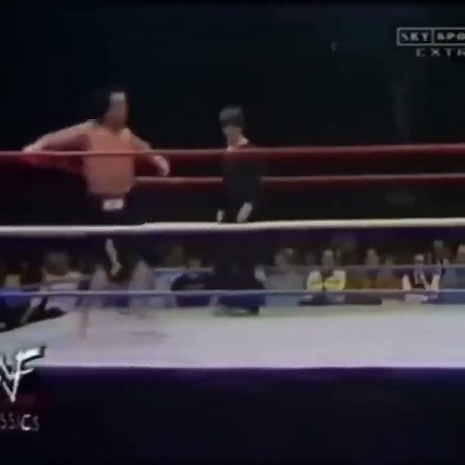 Mr. Fuji's Finisher: Bomb's Away!